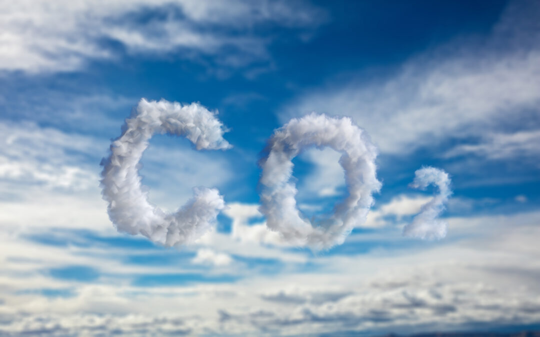 CO2 – een écht gevaar?!